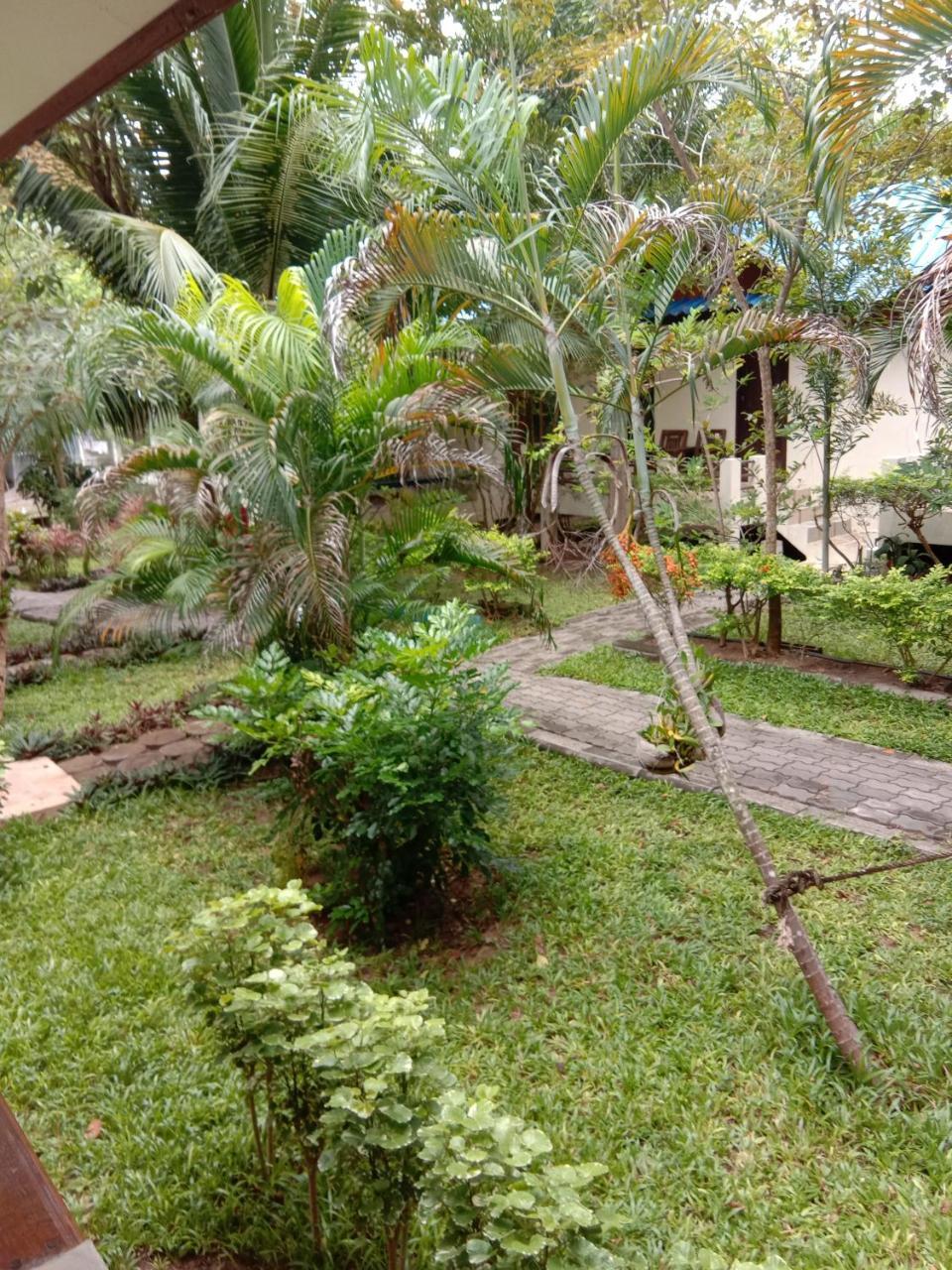 Prik Thai Resort タオ島 エクステリア 写真