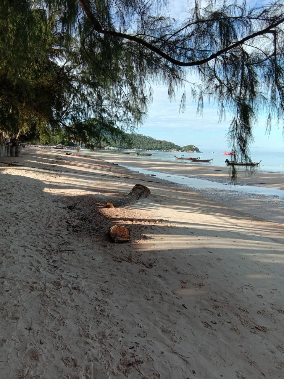 Prik Thai Resort タオ島 エクステリア 写真
